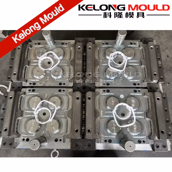Customized Plastic Handle Mould Hot Runner Injection Mould for Edible Oil Bottle
