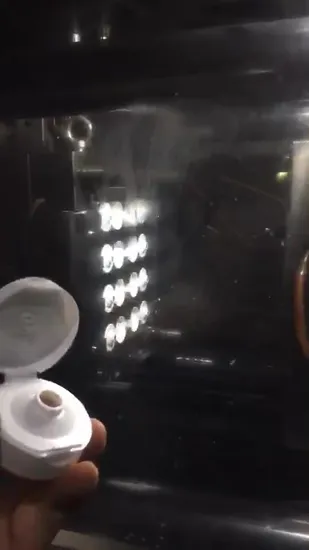 Plastic Shampoo Bath Shower Bottle Flip Top Cap Closure Lid Cover Injection Molds Factory 